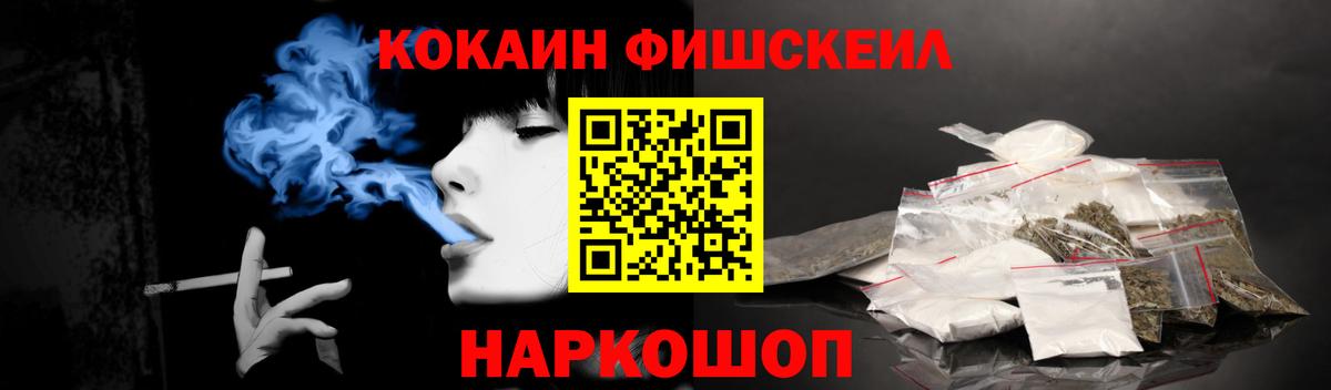 COCAIN Fish Scale  Вход с VPN  COCAIN  Великий Устюг 