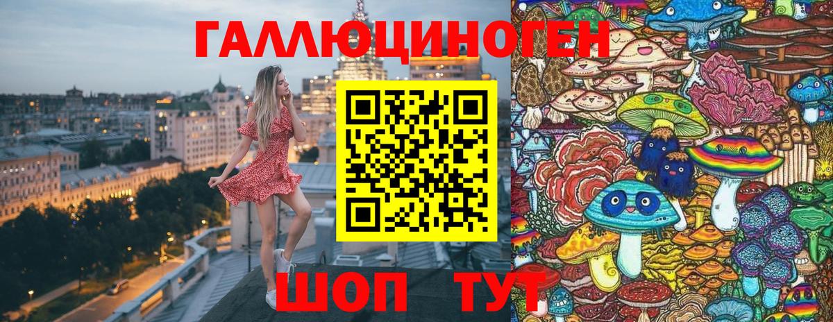 Великий Устюг  Псилоцибиновые грибы Psilocybine cubensis  Вход с VPN 